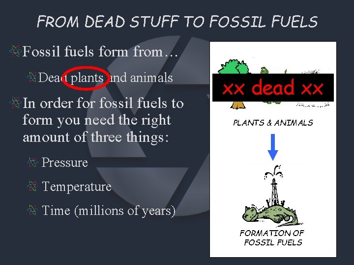 FROM DEAD STUFF TO FOSSIL FUELS Fossil fuels form from… Dead plants and animals