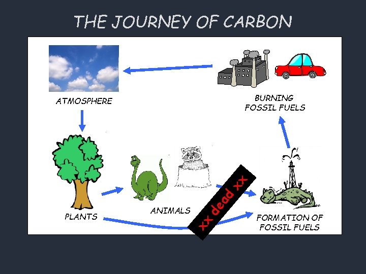 THE JOURNEY OF CARBON BURNING FOSSIL FUELS de ANIMALS xx PLANTS ad xx ATMOSPHERE