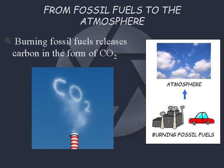 FROM FOSSIL FUELS TO THE ATMOSPHERE Burning fossil fuels releases carbon in the form