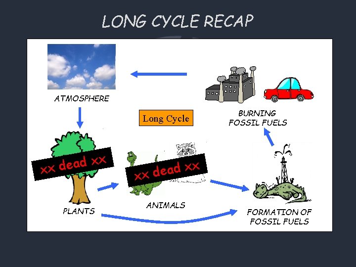 LONG CYCLE RECAP ATMOSPHERE Long Cycle x x d a e xx d PLANTS