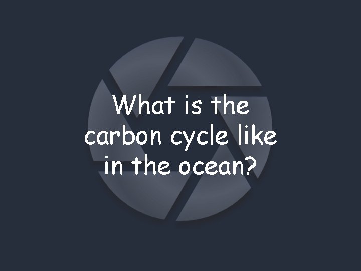 What is the carbon cycle like in the ocean? 