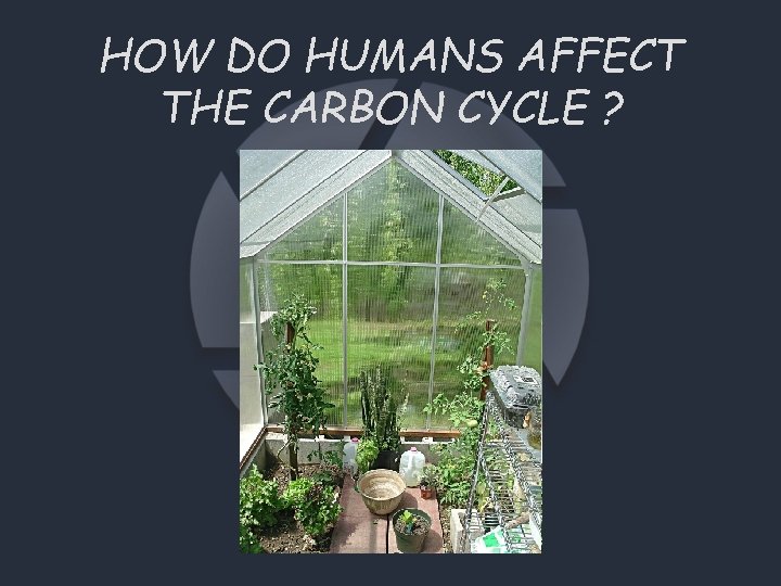 HOW DO HUMANS AFFECT THE CARBON CYCLE ? 