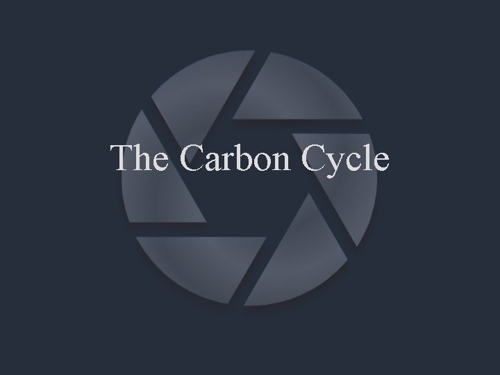 The Carbon Cycle 