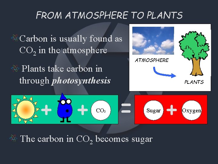 FROM ATMOSPHERE TO PLANTS Carbon is usually found as CO 2 in the atmosphere