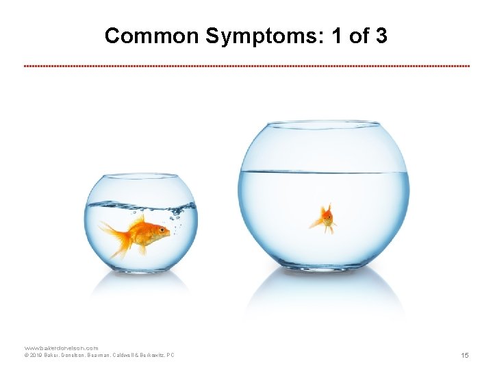 Common Symptoms: 1 of 3 www. bakerdonelson. com © 2019 Baker, Donelson, Bearman, Caldwell