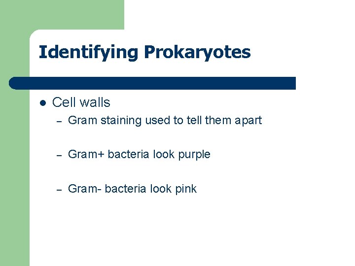 Identifying Prokaryotes l Cell walls – Gram staining used to tell them apart –