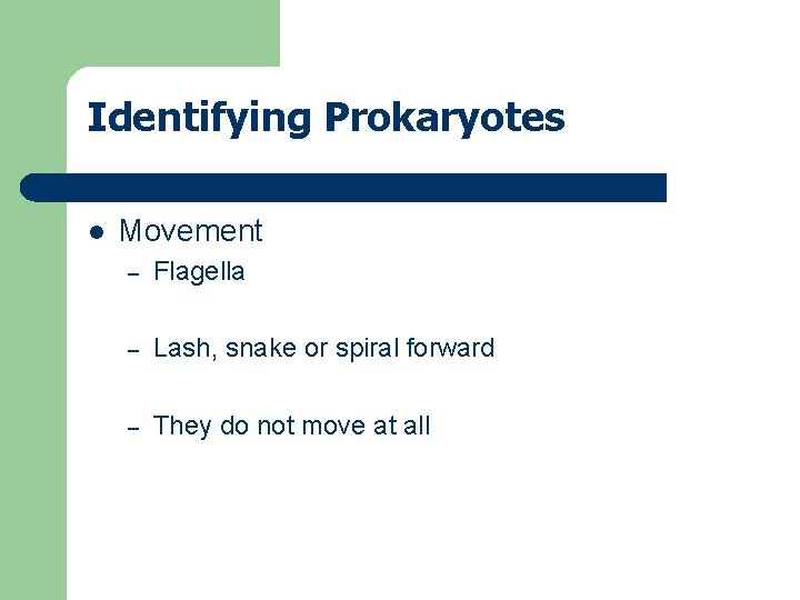 Identifying Prokaryotes l Movement – Flagella – Lash, snake or spiral forward – They