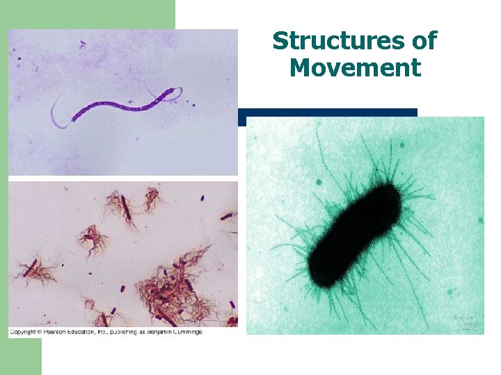 Structures of Movement 