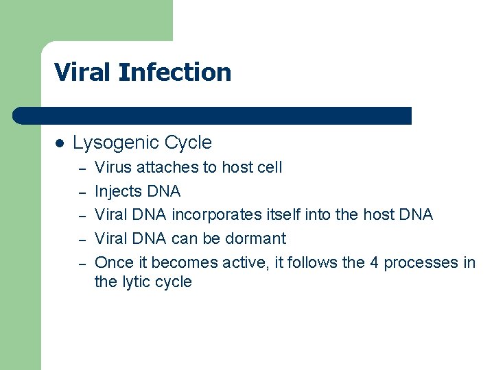 Viral Infection l Lysogenic Cycle – – – Virus attaches to host cell Injects