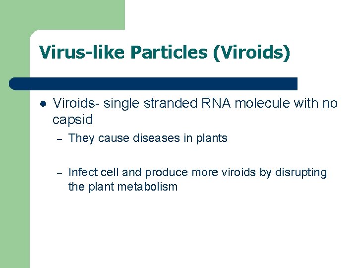 Virus-like Particles (Viroids) l Viroids- single stranded RNA molecule with no capsid – They