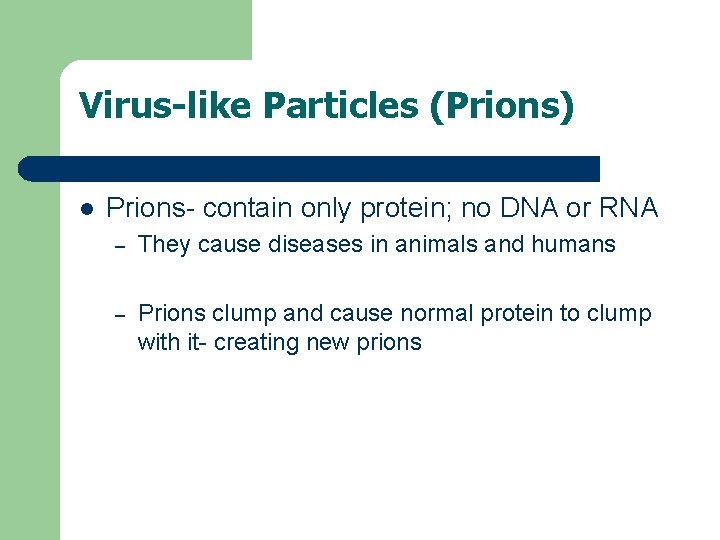 Virus-like Particles (Prions) l Prions- contain only protein; no DNA or RNA – They