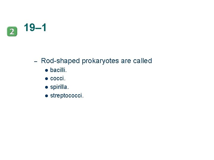 19– 1 – Rod-shaped prokaryotes are called l l bacilli. cocci. spirilla. streptococci. 