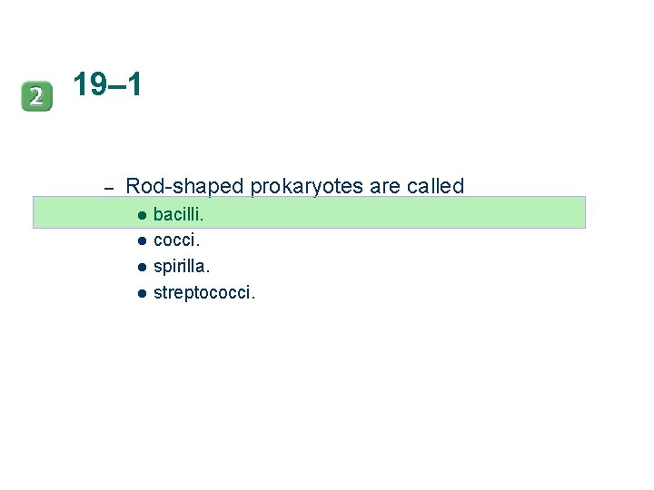 19– 1 – Rod-shaped prokaryotes are called l l bacilli. cocci. spirilla. streptococci. 