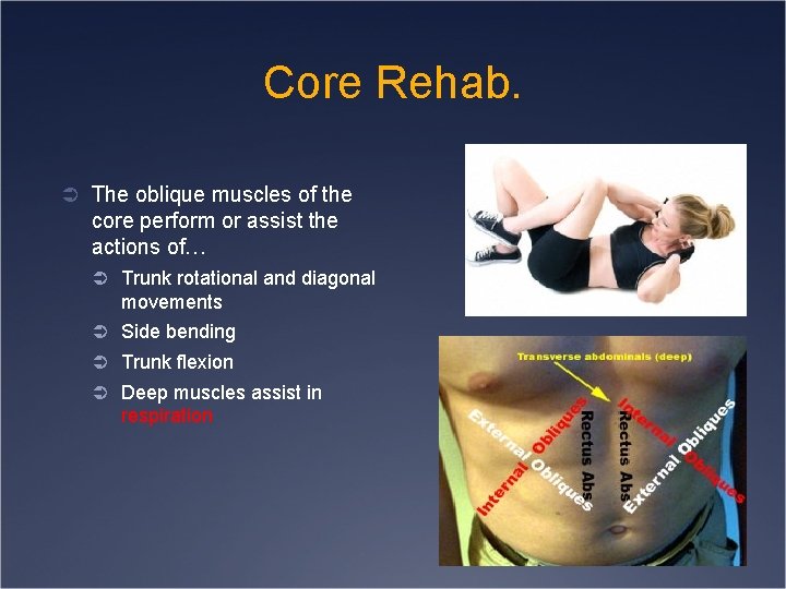 Core Rehab. Ü The oblique muscles of the core perform or assist the actions