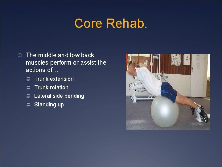 Core Rehab. Ü The middle and low back muscles perform or assist the actions