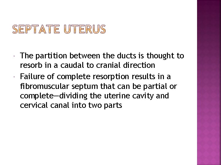  The partition between the ducts is thought to resorb in a caudal to