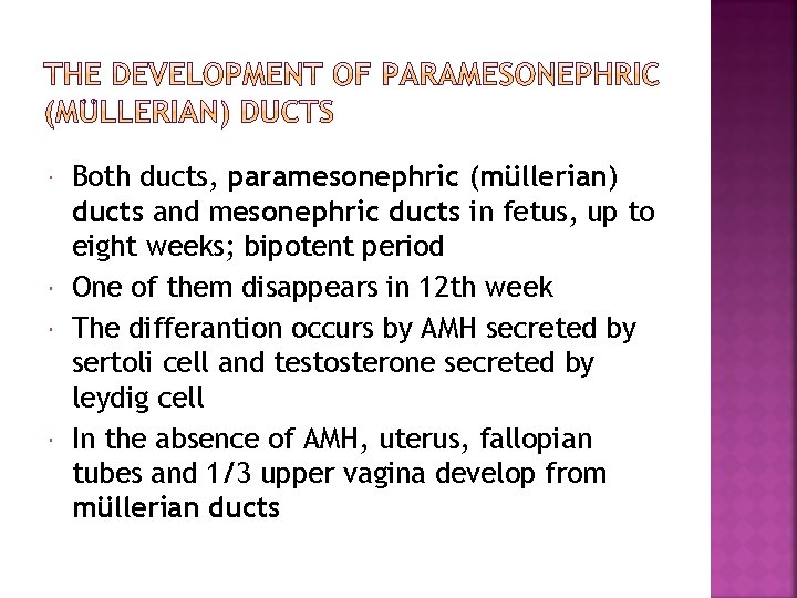  Both ducts, paramesonephric (müllerian) ducts and mesonephric ducts in fetus, up to eight
