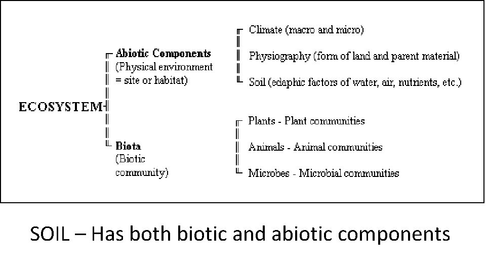 SOIL – Has both biotic and abiotic components 