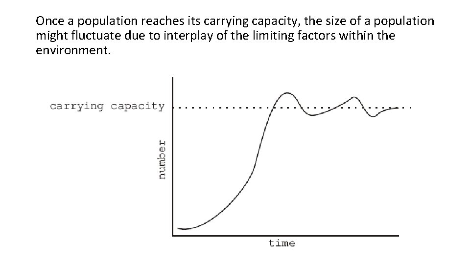 Once a population reaches its carrying capacity, the size of a population might fluctuate