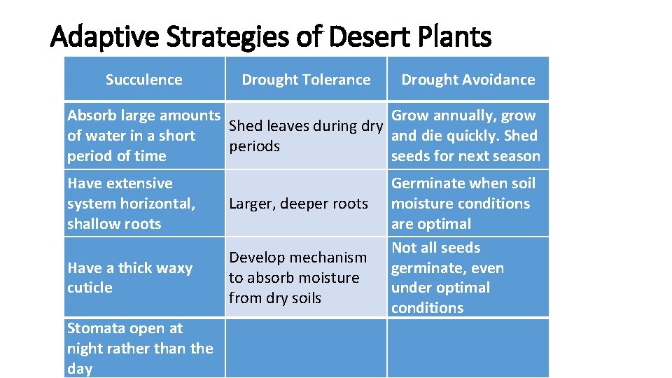 Adaptive Strategies of Desert Plants Succulence Drought Tolerance Drought Avoidance Absorb large amounts Grow