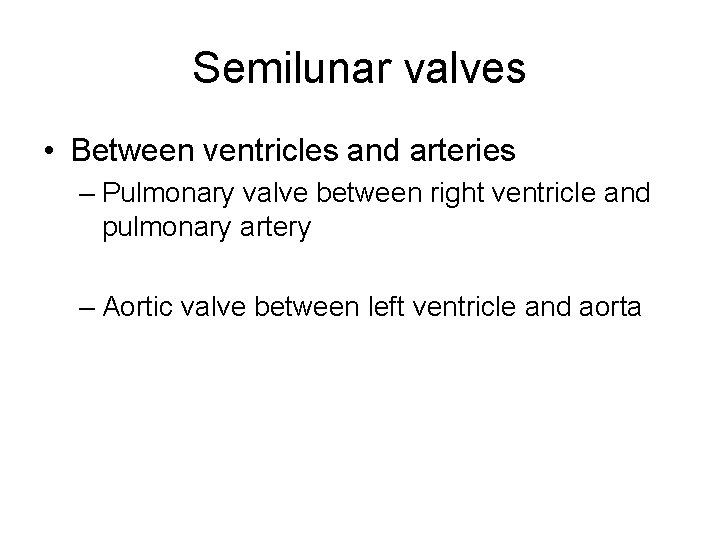 Semilunar valves • Between ventricles and arteries – Pulmonary valve between right ventricle and