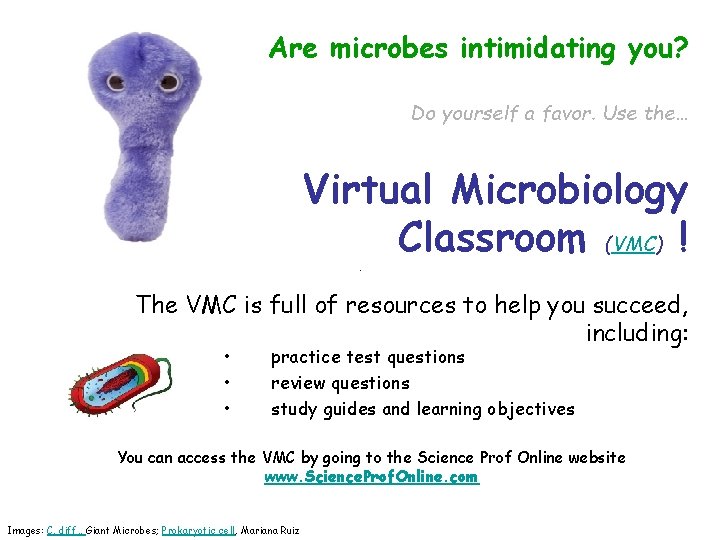 Are microbes intimidating you? Do yourself a favor. Use the… Virtual Microbiology Classroom (VMC)