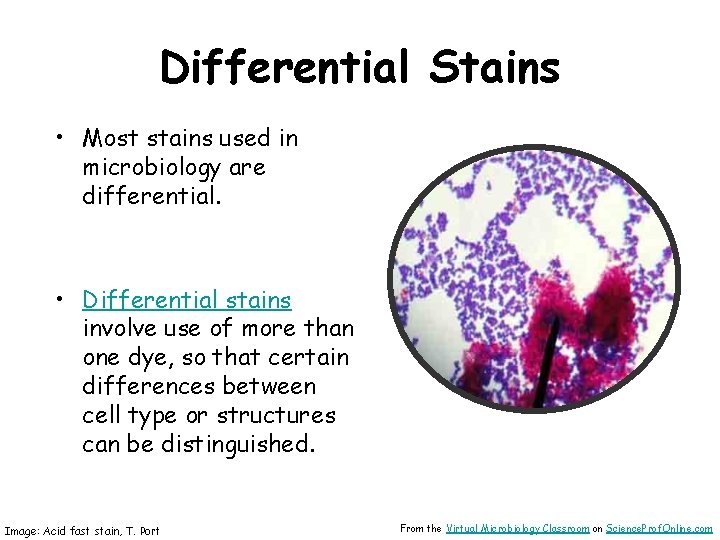 About Science Prof Online Power Point Resources Science