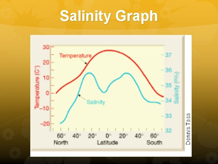 Salinity Graph 