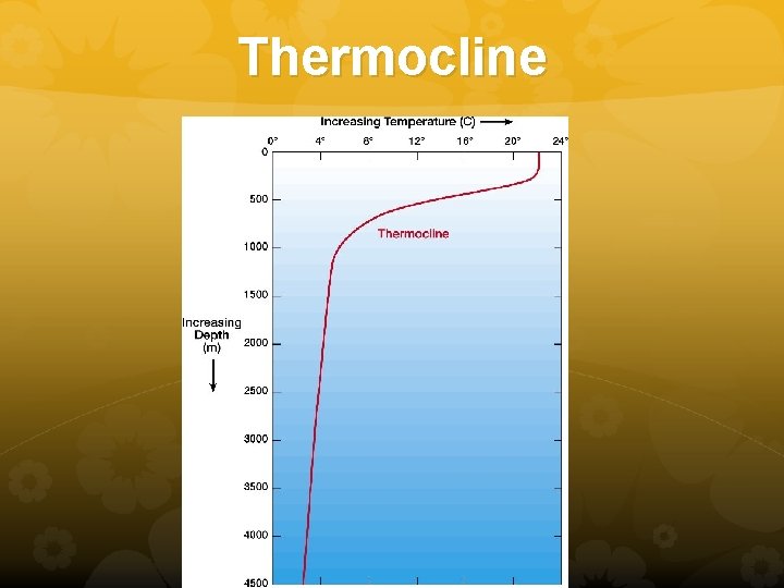 Thermocline 