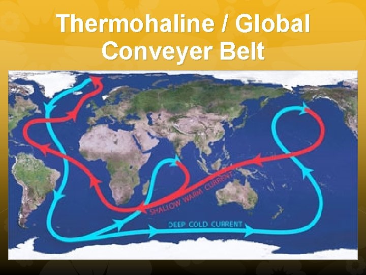 Thermohaline / Global Conveyer Belt 