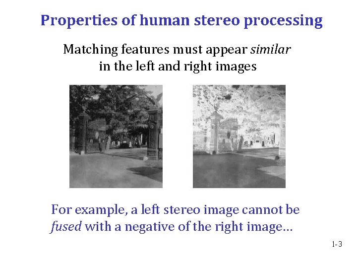 Properties of human stereo processing Matching features must appear similar in the left and