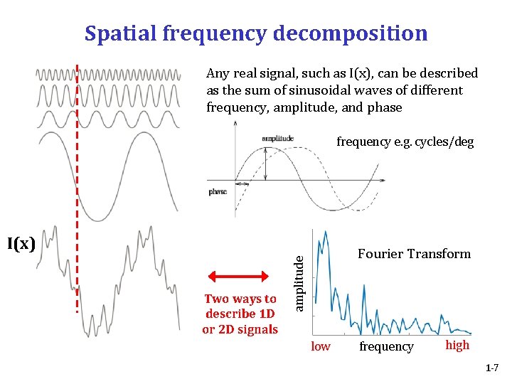 Spatial frequency decomposition Any real signal, such as I(x), can be described as the