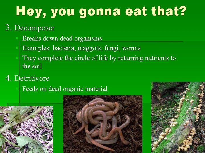 Hey, you gonna eat that? 3. Decomposer § Breaks down dead organisms § Examples: