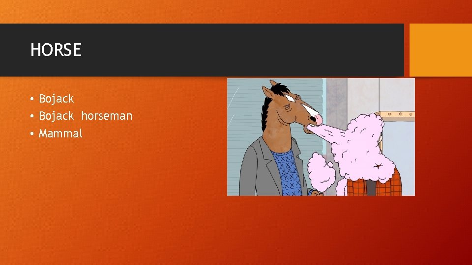 HORSE • Bojack horseman • Mammal 