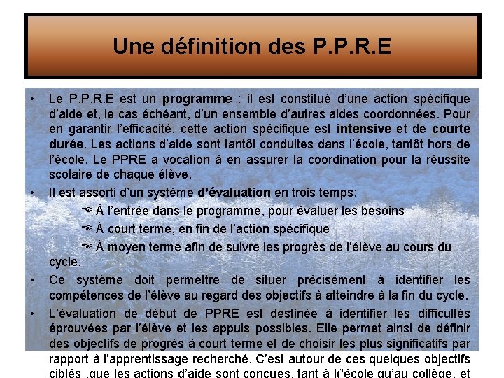 Une définition des P. P. R. E • • Le P. P. R. E