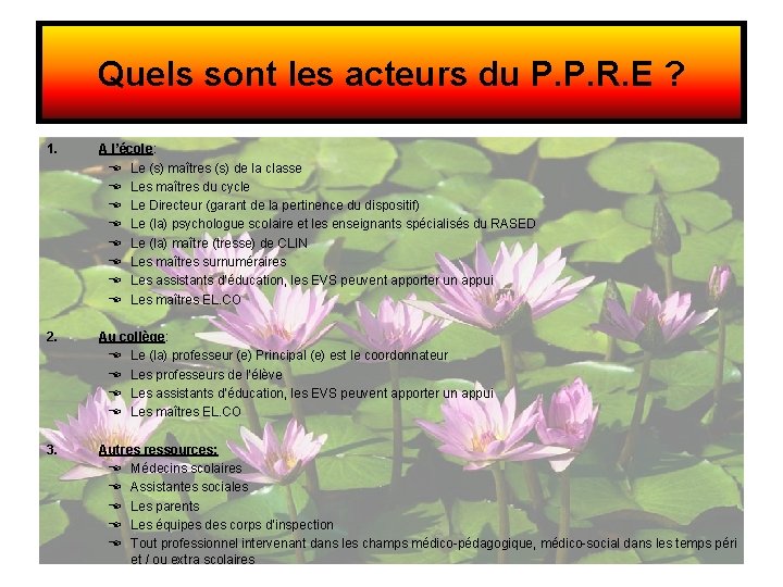 Quels sont les acteurs du P. P. R. E ? 1. A l’école: Le