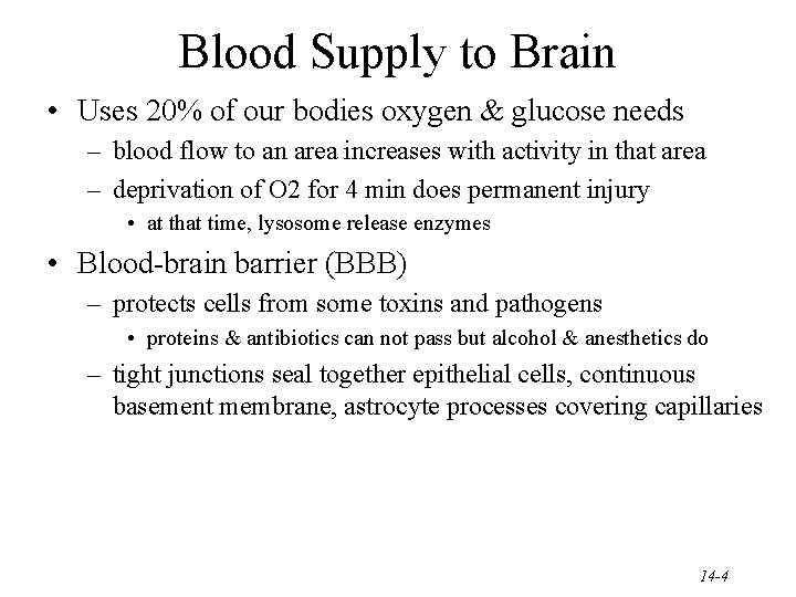 Blood Supply to Brain • Uses 20% of our bodies oxygen & glucose needs
