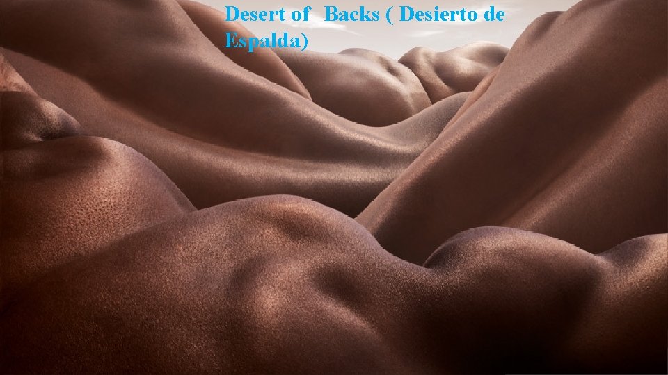 Desert of Backs ( Desierto de Espalda) 