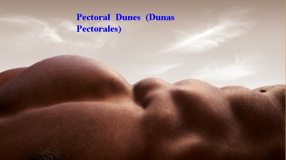 Pectoral Dunes (Dunas Pectorales) 