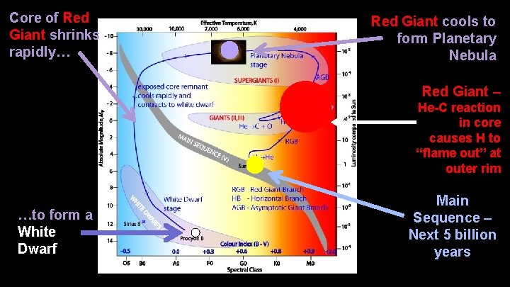 Core of Red Giant shrinks rapidly… Red Giant cools to form Planetary Nebula Red