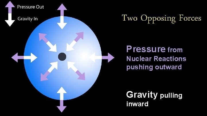 Two Opposing Forces Pressure from Nuclear Reactions pushing outward Gravity pulling inward 