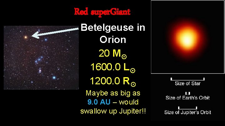 Red super. Giant Betelgeuse in Orion 20 M☉ 1600. 0 L☉ 1200. 0 R☉