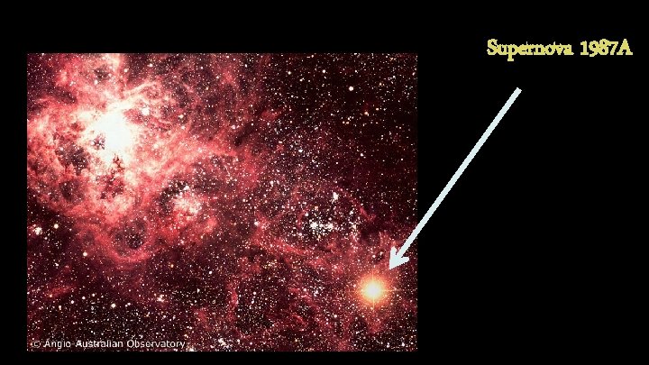 Supernova 1987 A 