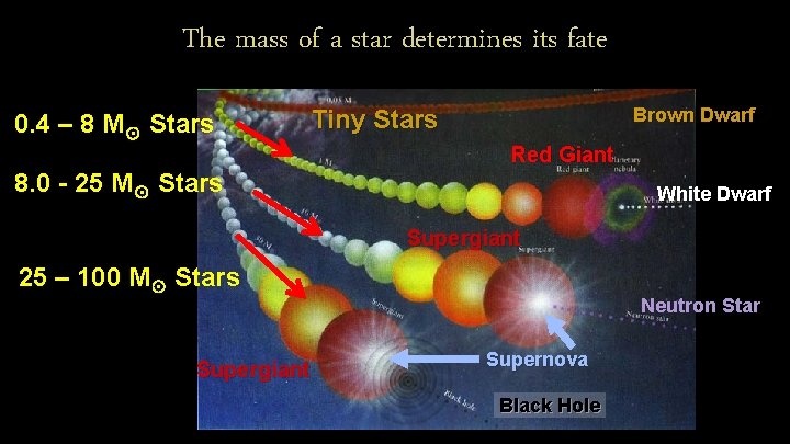 The mass of a star determines its fate 0. 4 – 8 M☉ Stars