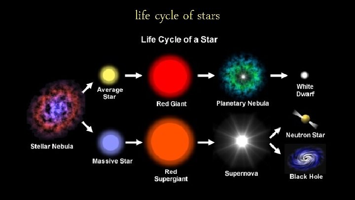 life cycle of stars 