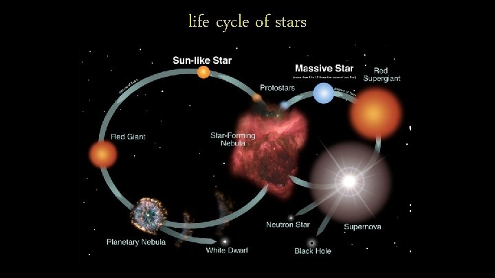 life cycle of stars 