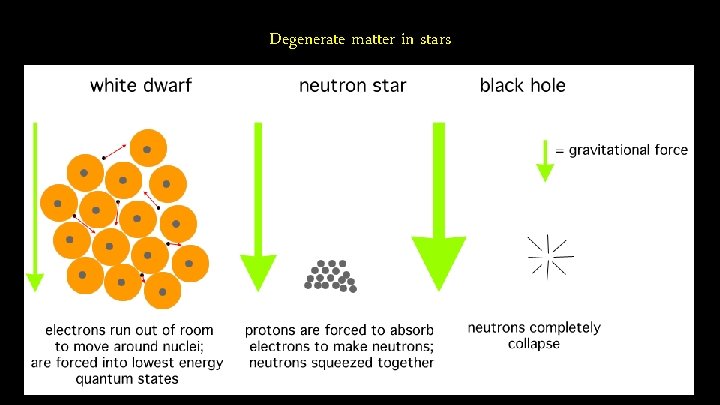 Degenerate matter in stars 
