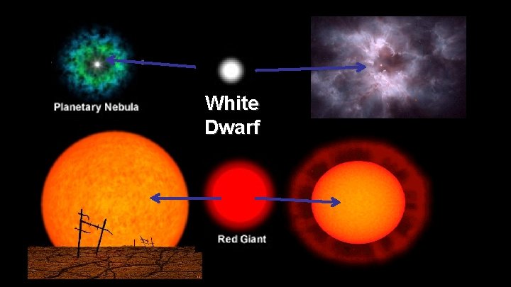 White Dwarf 