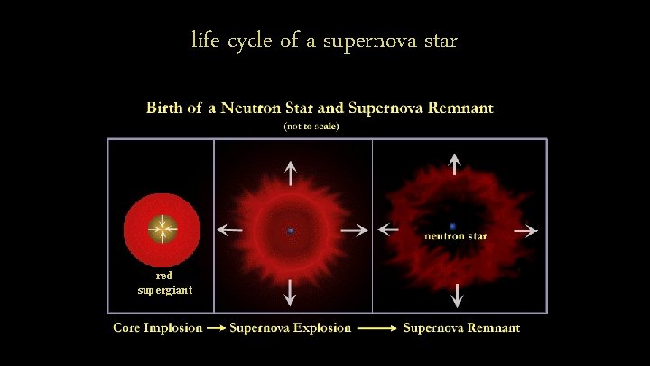 life cycle of a supernova star red supergiant 