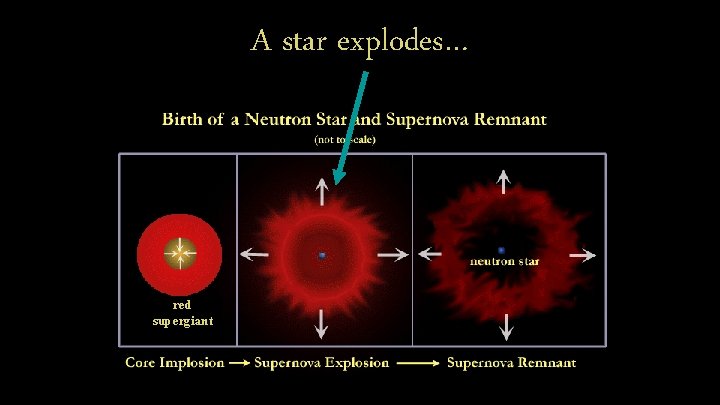 A star explodes… red supergiant 